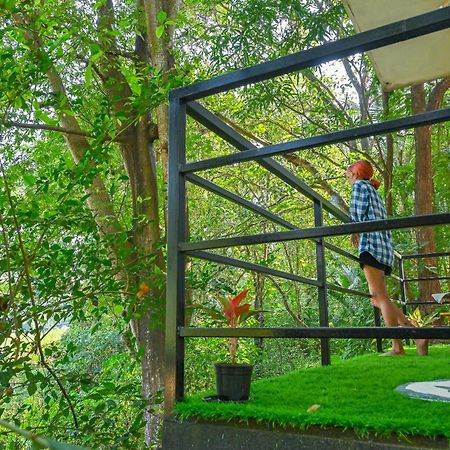 Shell House - Private Stay With Garden View In Arambol Mandrem Exterior photo