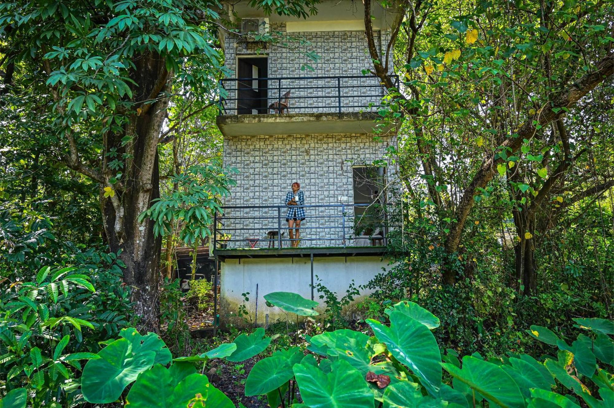Shell House - Private Stay With Garden View In Arambol Mandrem Exterior photo